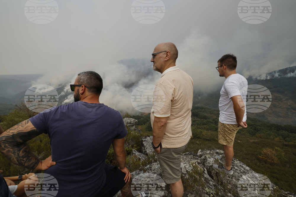 Spain Fires