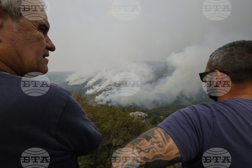 Spain Fires