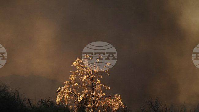 Общо трима души са задържани за палежи край гръцкия град Патра