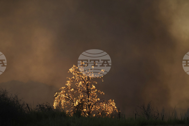 Албания продължава да се бори с горските пожари; за последните 24 часа са регистрирани 26 пожара, от които 4 остават активни