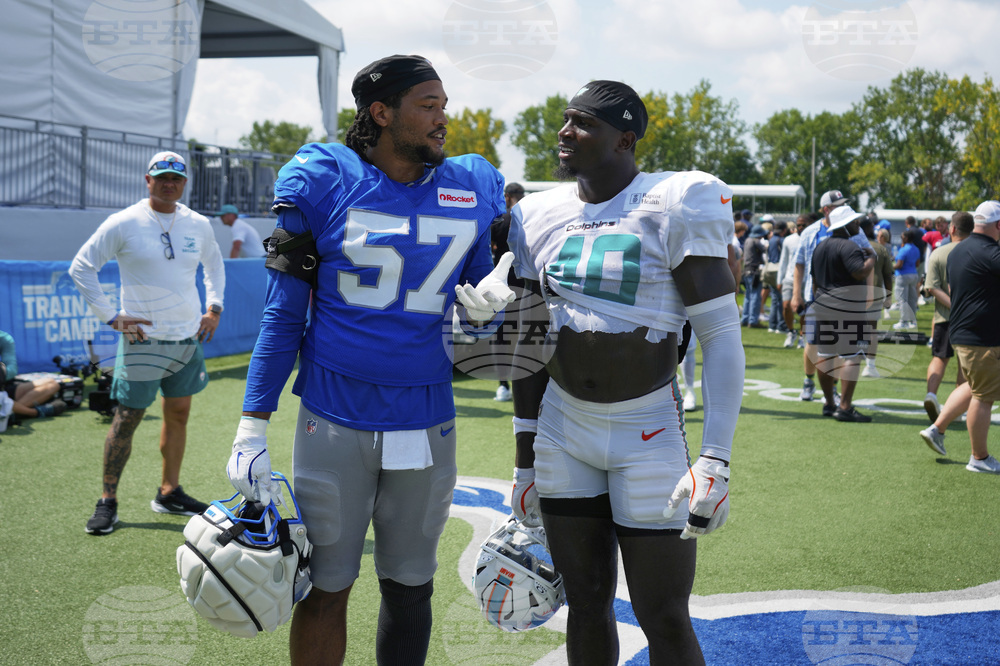 Dolphins Lions Football