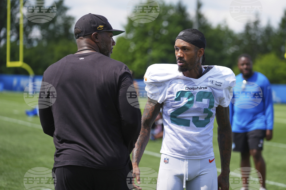 Dolphins Lions Football