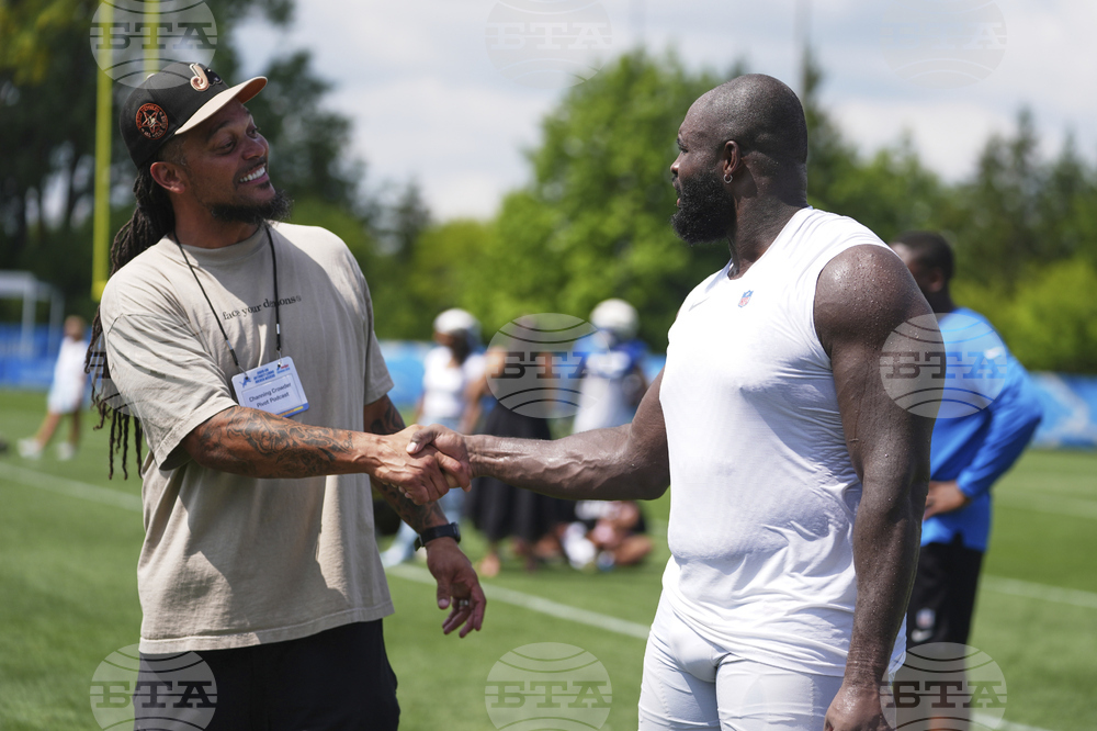 Dolphins Lions Football