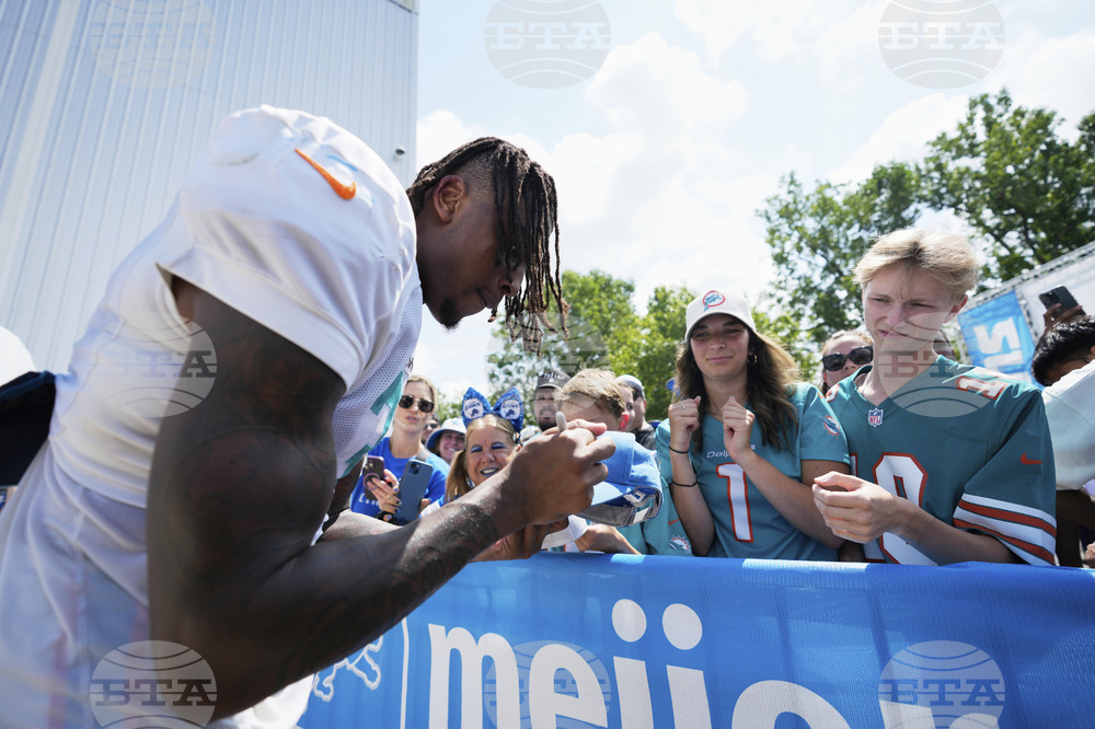 Dolphins Lions Football