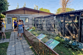 Стара Загора - Спасителен център - щъркели - освобождаване