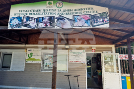 Стара Загора - Спасителен център - щъркели - освобождаване