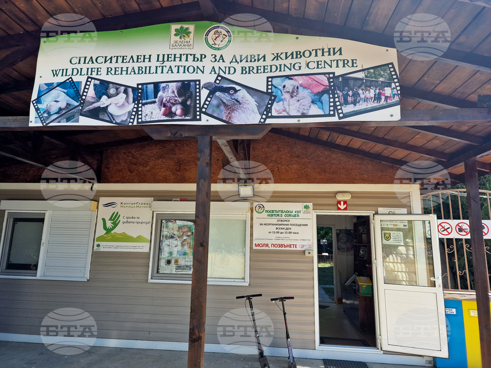 First Bearded Vulture Chick Hatches at Green Balkans Rescue Centre in Stara Zagora