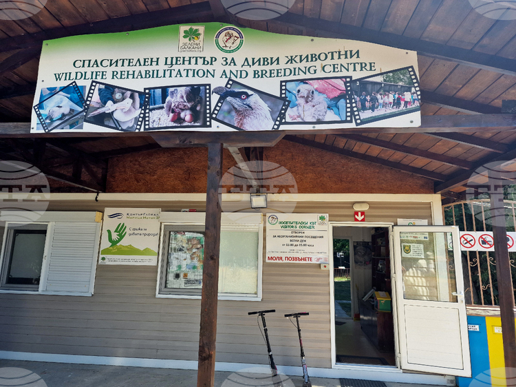 First Bearded Vulture Chick Hatches at Green Balkans Rescue Centre in Stara Zagora