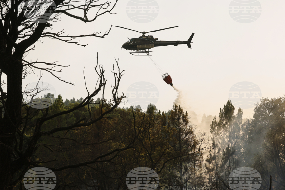 Spain Fires
