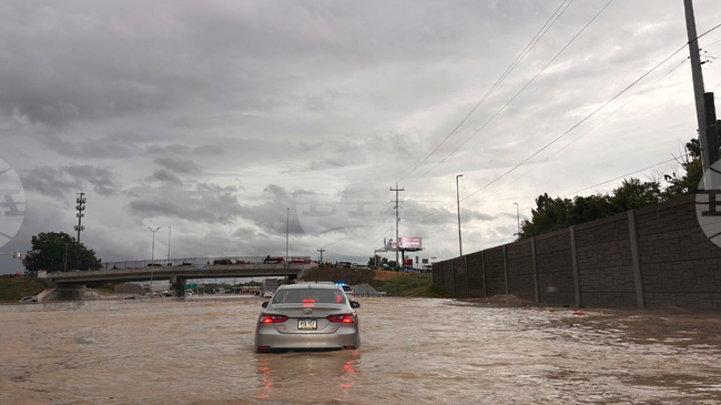 Майка, баща и дете бяха убити от паднало дърво при проливни дъждове и наводнения в Тенеси 