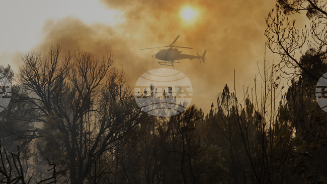 Общо 29 горски пожара остават активни в Албания