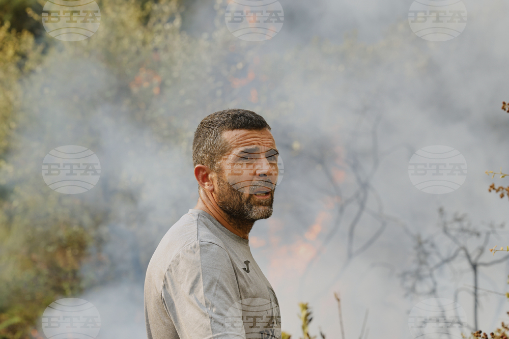 Spain Fires