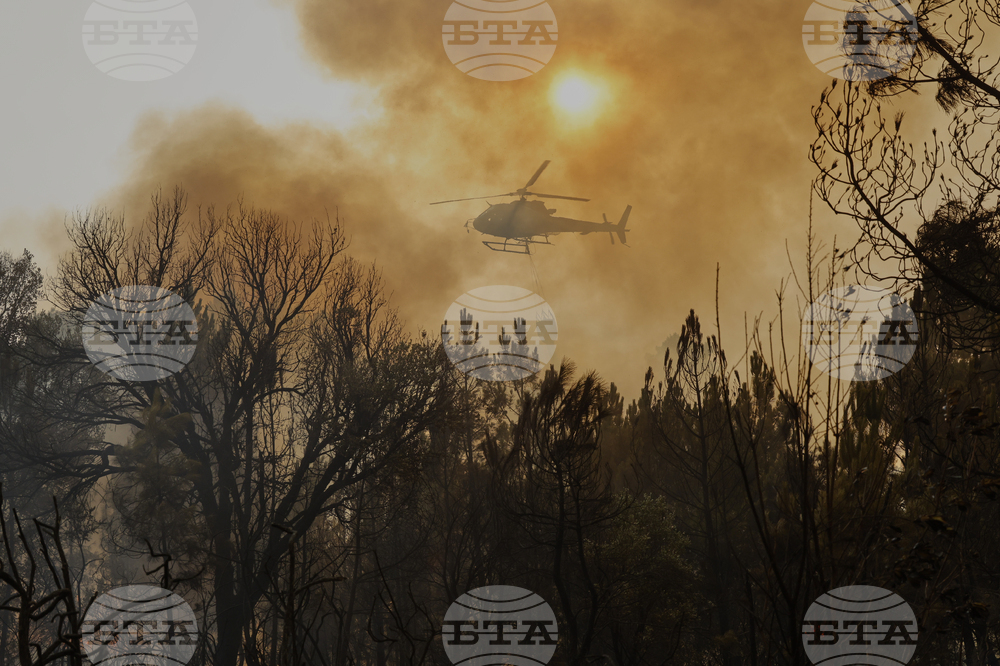 APTOPIX Spain Fires