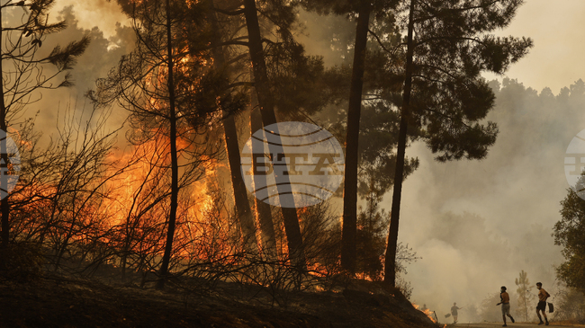 Испания търси помощ от европейските си партньори за справяне с горските пожари 