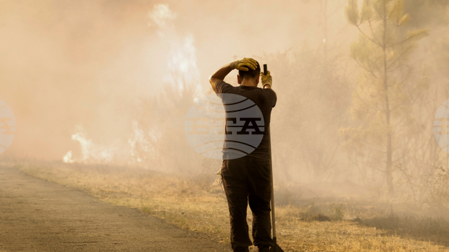 Испанските власти арестуваха мъж за подпалване на горски пожар; втори доброволец загина при пожарите в провинция Леон