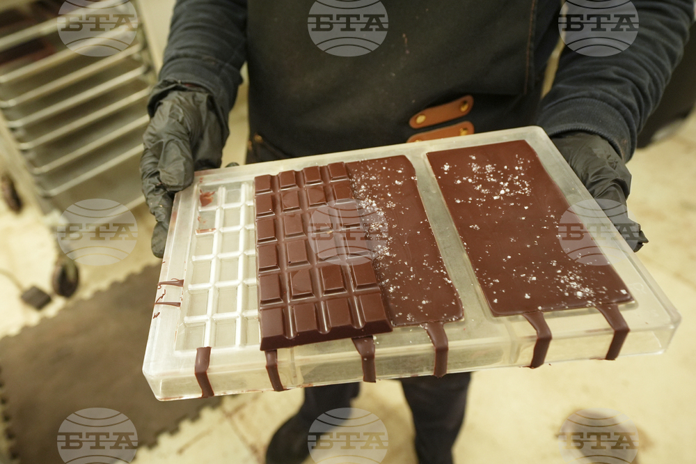 „Коктейл“ от бактерии и гъби определя вкуса на шоколада, сочи проучване