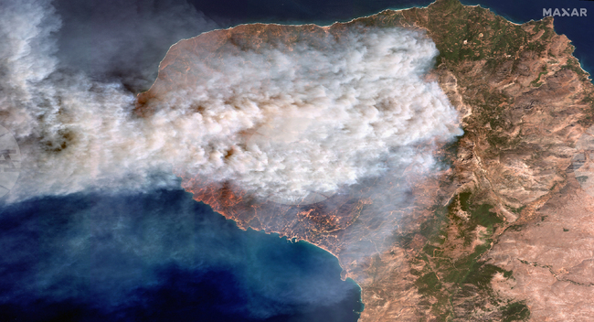 Противопожарни екипи в Гърция и Албания се борят да овладеят горските пожари