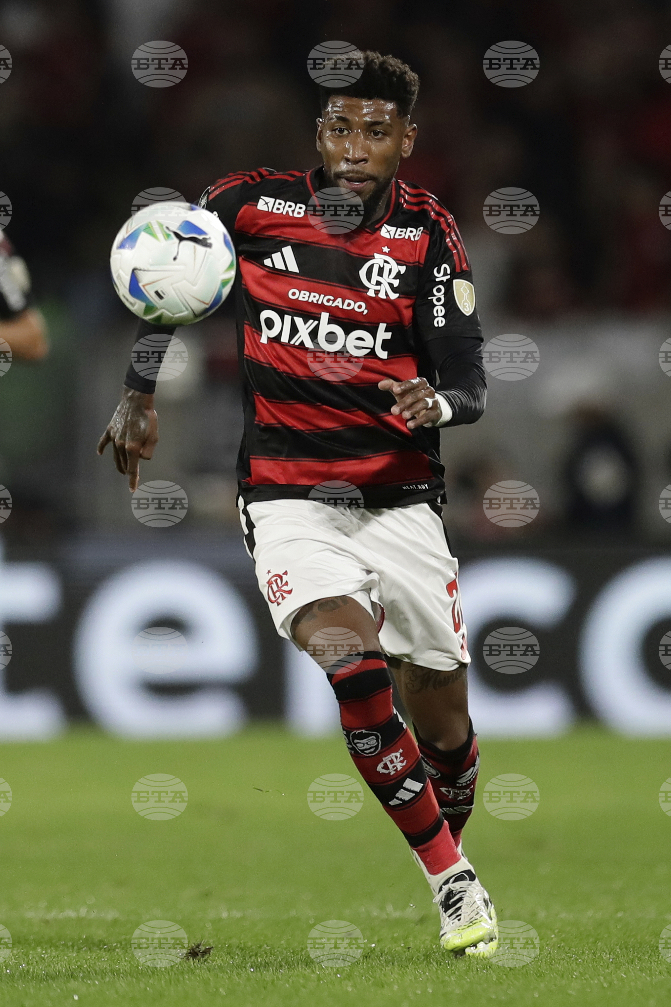 Brazil Soccer Copa Libertadores