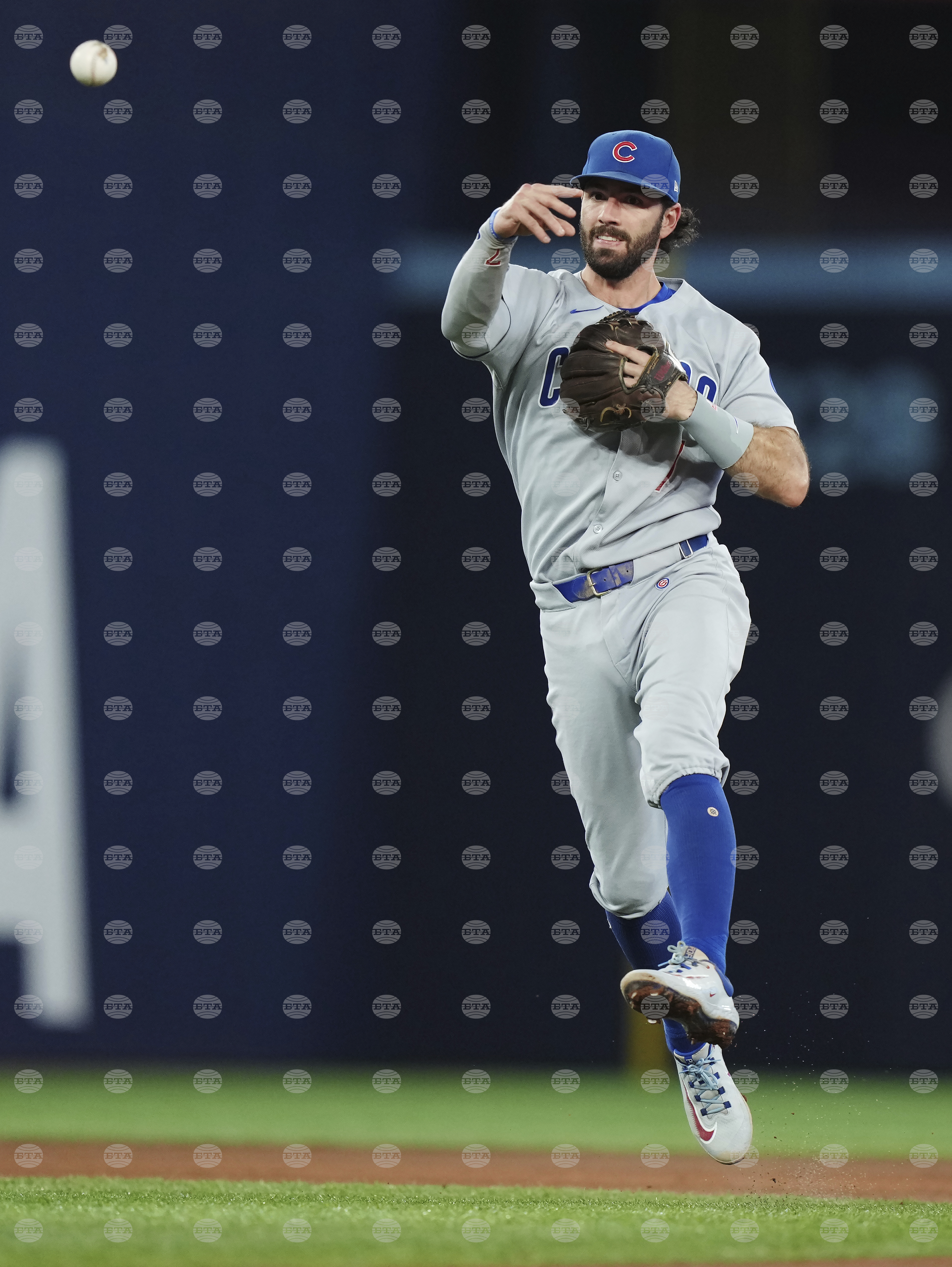 Cubs Blue Jays Baseball