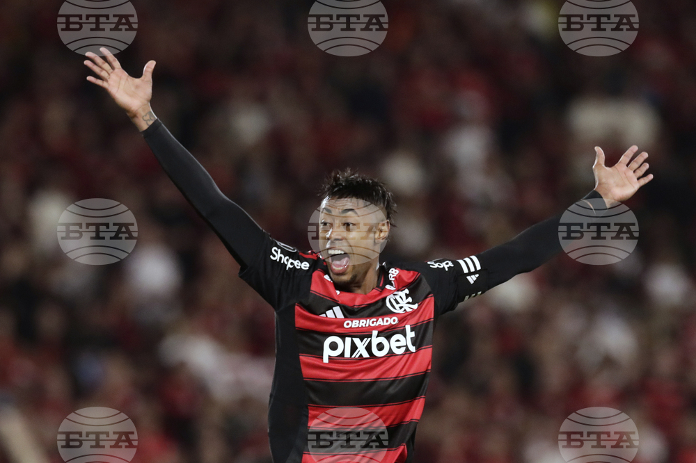 Brazil Soccer Copa Libertadores