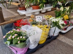 Монтана-евро-цени-2