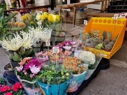 Монтана-евро-цени-3