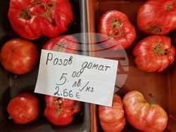 Монтана-евро-цени-5