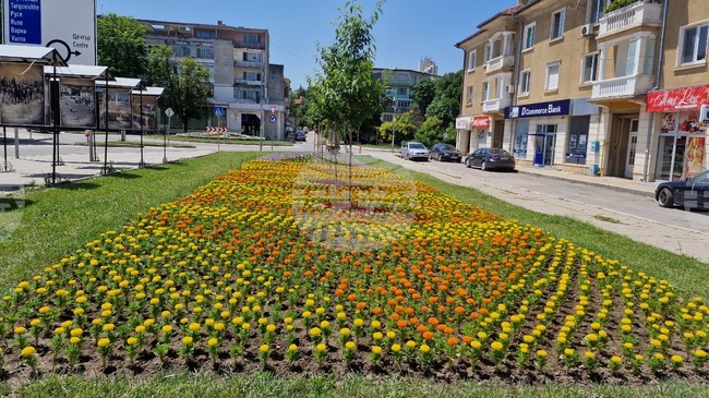 Средната брутна работна заплата в област Разград през второто тримесечие на годината е 2035 лева, сочи статистиката