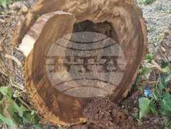 Снимка: Община Стара Загора 