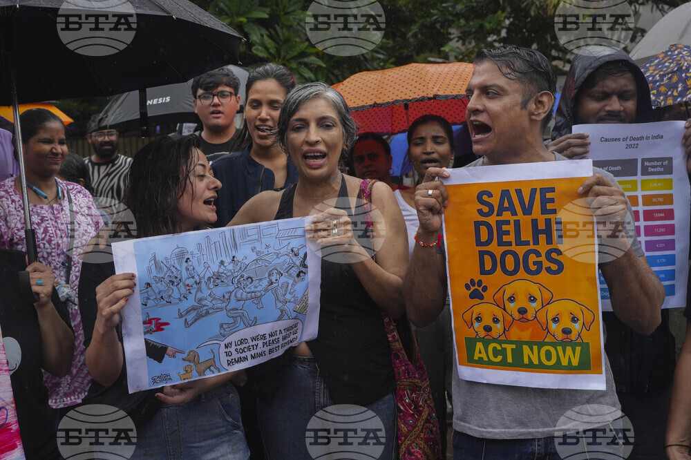 India Stray Dogs Protest