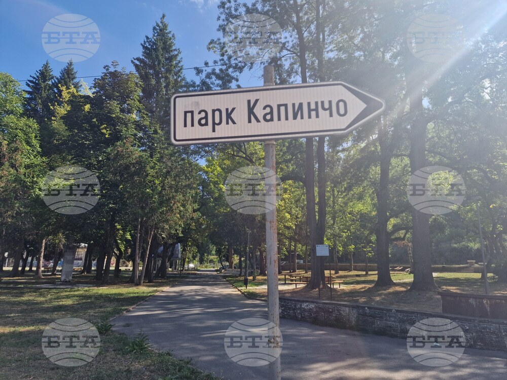 Мечка е забелязана в парк „Капинчо“ в Троян, предупредиха от Общината
