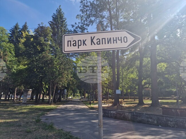 Мечка е забелязана в парк „Капинчо“ в Троян, предупредиха от Общината