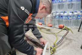 Ден 59 - Тема на деня - Тихомир Стефанов 