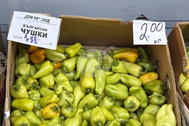 Търговските обекти в Самоков са спазили изискването за двойно обозначение на цените