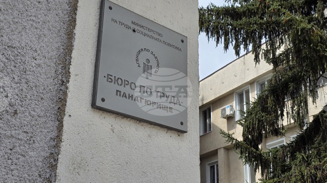 В Бюрото по труда в Панагюрище са обявени десет свободни работни места за специалисти с висше образование