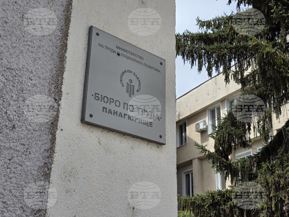 Общо 13 свободни позиции за хора с висше образование са обявени в Бюрото по труда в Панагюрище