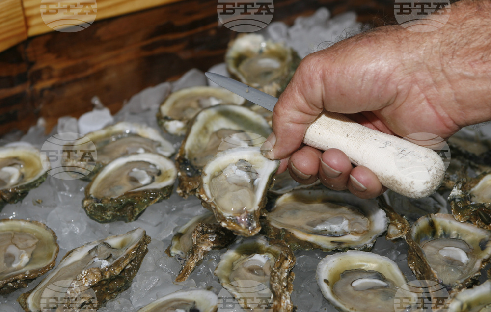 Florida-Oysters