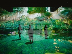 Световноизвестни имерсивни спектакли гостуват в България, снимка – MINA