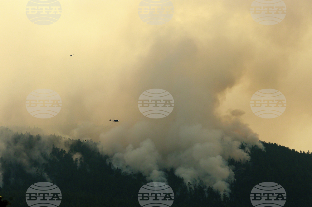 Climate Wildfire Smoke Politics