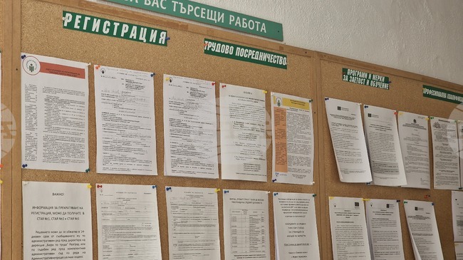 Над 80 свободни работни места са обявени в област Разград към края на юни