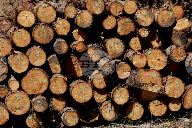 Общо 17 830 заявления за енергийни помощи са подадени в Пазарджишка област