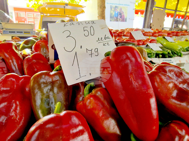 Повечето търговци в Хасково са обявили цените в лева и евро, сочи репортерска проверка