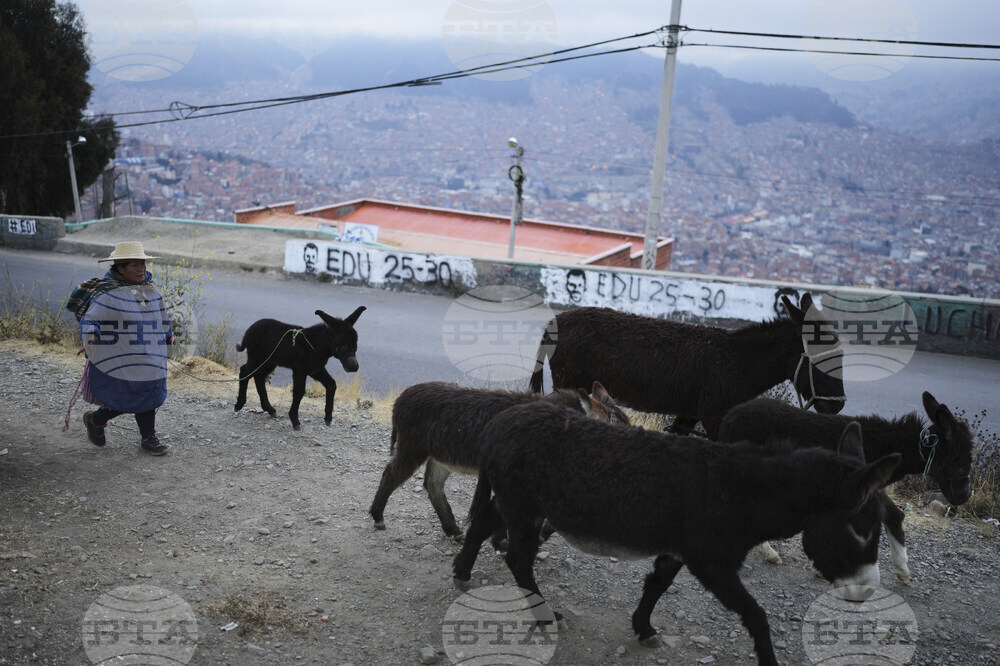 Bolivia Election