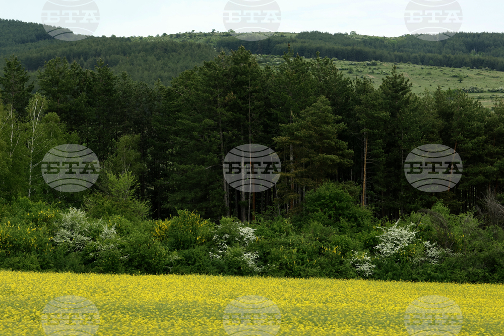 The Weather on August 28