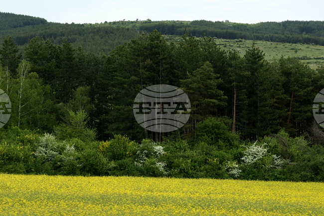 The Weather on August 28