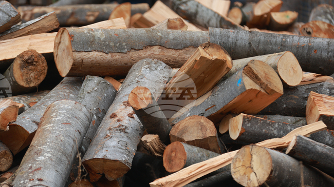 Осигурени са дърва за огрев за населените места в община Болярово, съобщи кметът Христо Христов