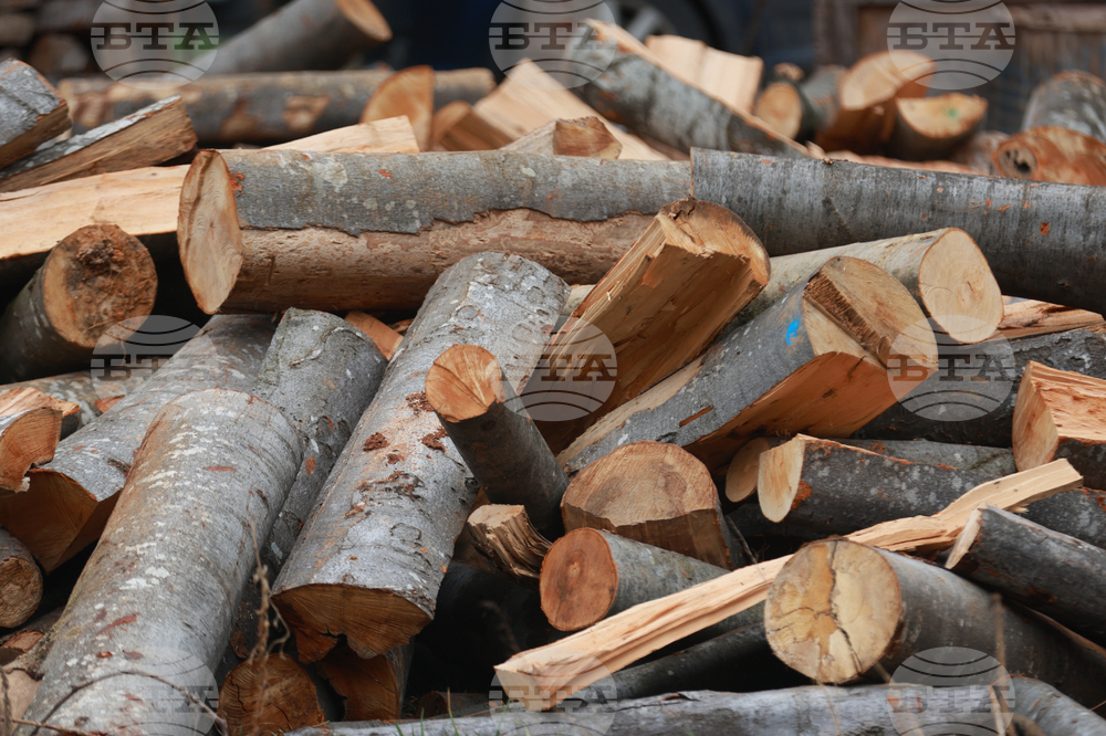 Осигурени са дърва за огрев за населените места в община Болярово, съобщи кметът Христо Христов