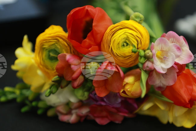 В община Ловеч имен ден празнуват близо 900 жени и мъже