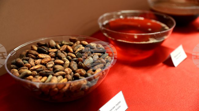 Излишъкът на ЕС при търговията с продукти на хранително-вкусовата промишленост нараства през юли на фона на по-високи цени на суровините