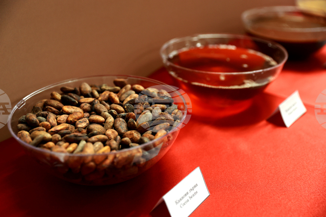 Излишъкът на ЕС при търговията с продукти на хранително-вкусовата промишленост нараства през юли на фона на по-високи цени на суровините